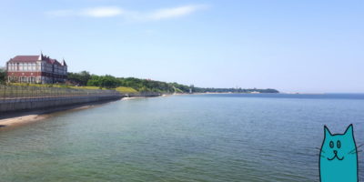 Водоем, мостик, дом