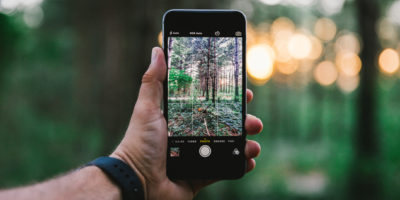 Смартфон в руке фотографирует лес