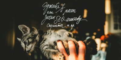 Котенок в руке