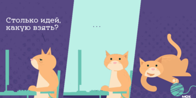 Два кота за ноутбуками и один с клубком