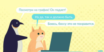Кот за ноутбуком и пингвин