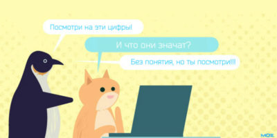 Кот за ноутбуком и пингвин