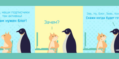 Кот за ноутбуком и пингвин