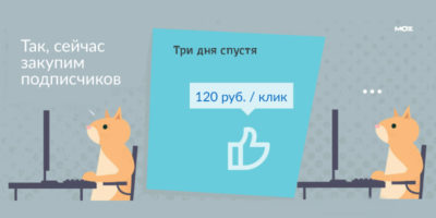 Коты за ноутбуками