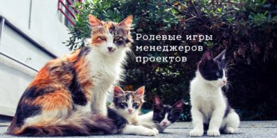 Трехцветная кошка и три котенка