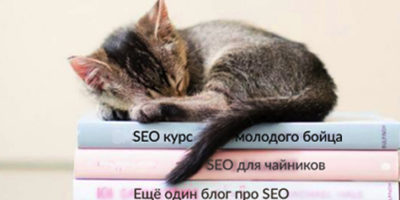 Спящий на книгах котенок
