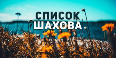Желтые цветы на фоне неба