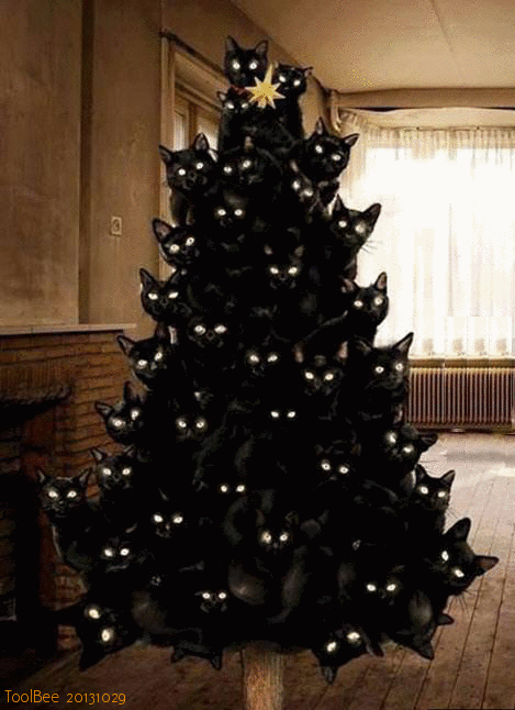 Katze-versteckt-sich-im-Weihnachtsbaum