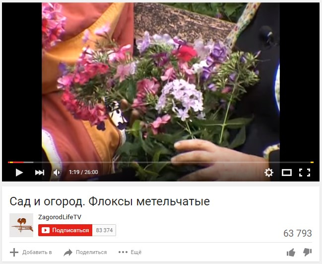 Что такое посев в маркетинге. Смотреть фото Что такое посев в маркетинге. Смотреть картинку Что такое посев в маркетинге. Картинка про Что такое посев в маркетинге. Фото Что такое посев в маркетинге