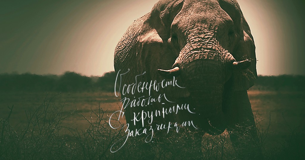 Слон, надпись