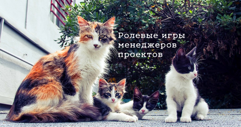 Трехцветная кошка и три котенка